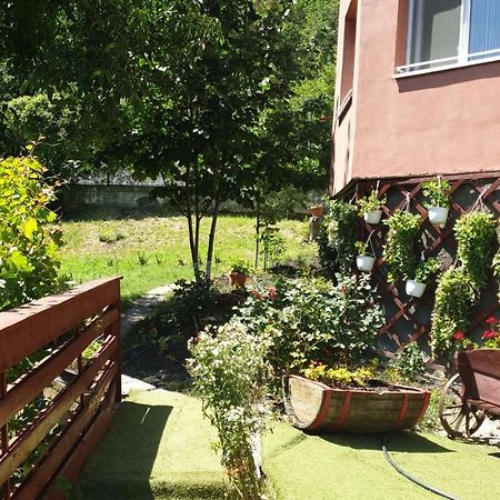Casa Lorena 萨拉他蒙蒂鲁 外观 照片