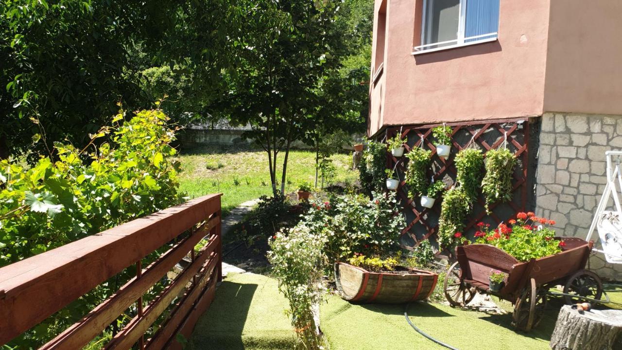 Casa Lorena 萨拉他蒙蒂鲁 外观 照片